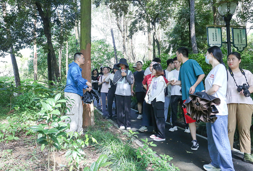 “一(yī)起向自(zì)然”植物(wù)戶外(wài)培訓 | 【茏騰學院】2023年(nián)第6期