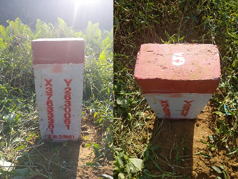 廣甯竹海(hǎi)國(guó)家(jiā)森(sēn)林(lín)公園标界立樁