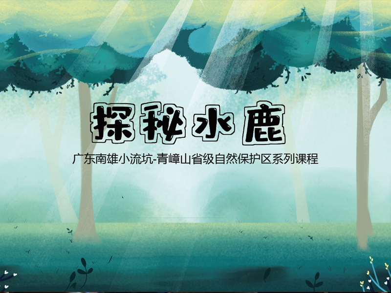 廣東(dōng)南(nán)雄小(xiǎo)流坑-青嶂山(shān)省級自(zì)然保護區(qū)系列課程