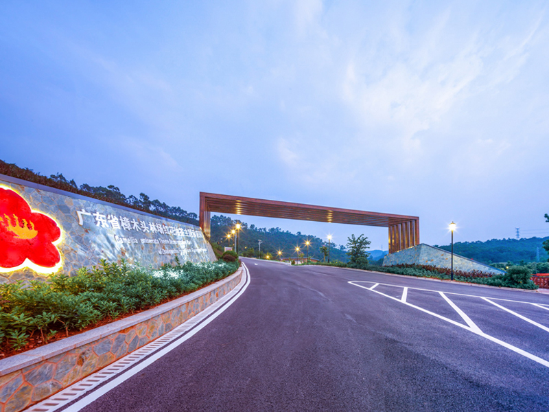 廣東(dōng)省樟木(mù)頭林(lín)場(chǎng)紅(hóng)花(huā)油茶主題示範園