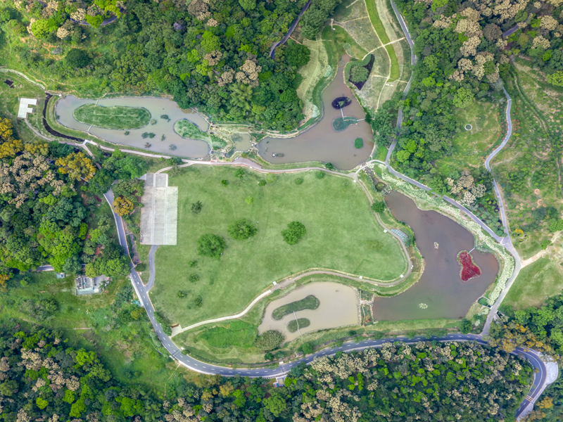 廣東(dōng)省沙頭角林(lín)場(chǎng)森(sēn)林(lín)生(shēng)态綜合示範園