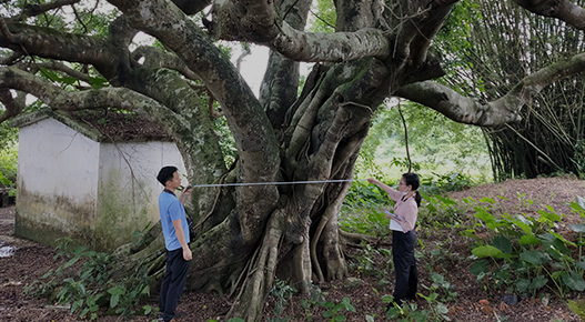 生(shēng)态調查監測