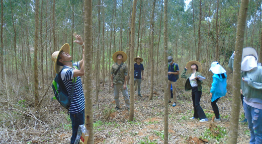 林(lín)地(dì)保護利用(yòng)