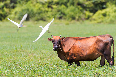這(zhè)是(shì)描述信息